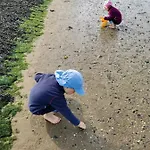 Smittshoern 3 - Nordsee Fuer Gruppen Und Familien Mit Eingezaeunten Garten Wittmund