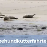 Smittshoern 3 - Nordsee Fuer Gruppen Und Familien Mit Eingezaeunten Garten Hébergement de vacances Wittmund