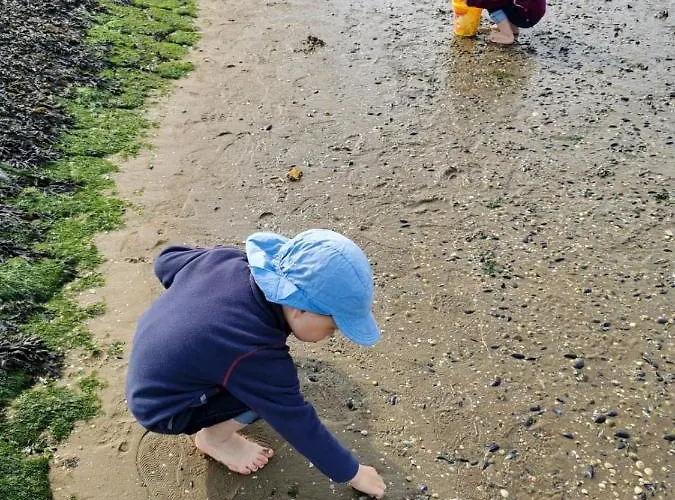 Smittshoern 3 - Nordsee Fuer Gruppen Und Familien Mit Eingezaeunten Garten Wittmund