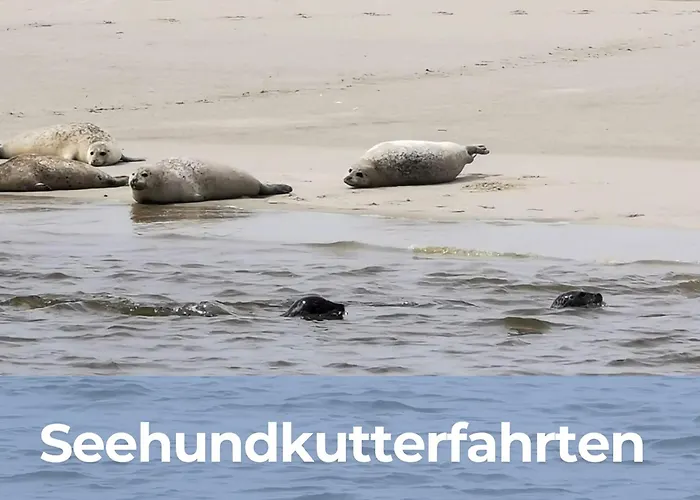 Smittshoern 3 - Nordsee Fuer Gruppen Und Familien Mit Eingezaeunten Garten Casa vacanze Wittmund